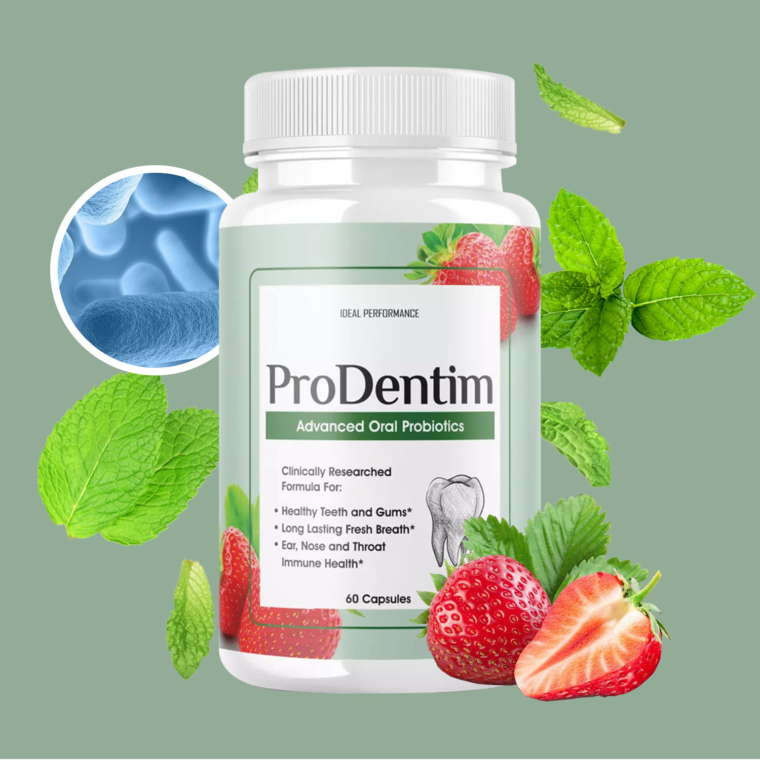 Digestive Enzyme Blend - Fortschrittliche orale Probiotika – erfrischt den
