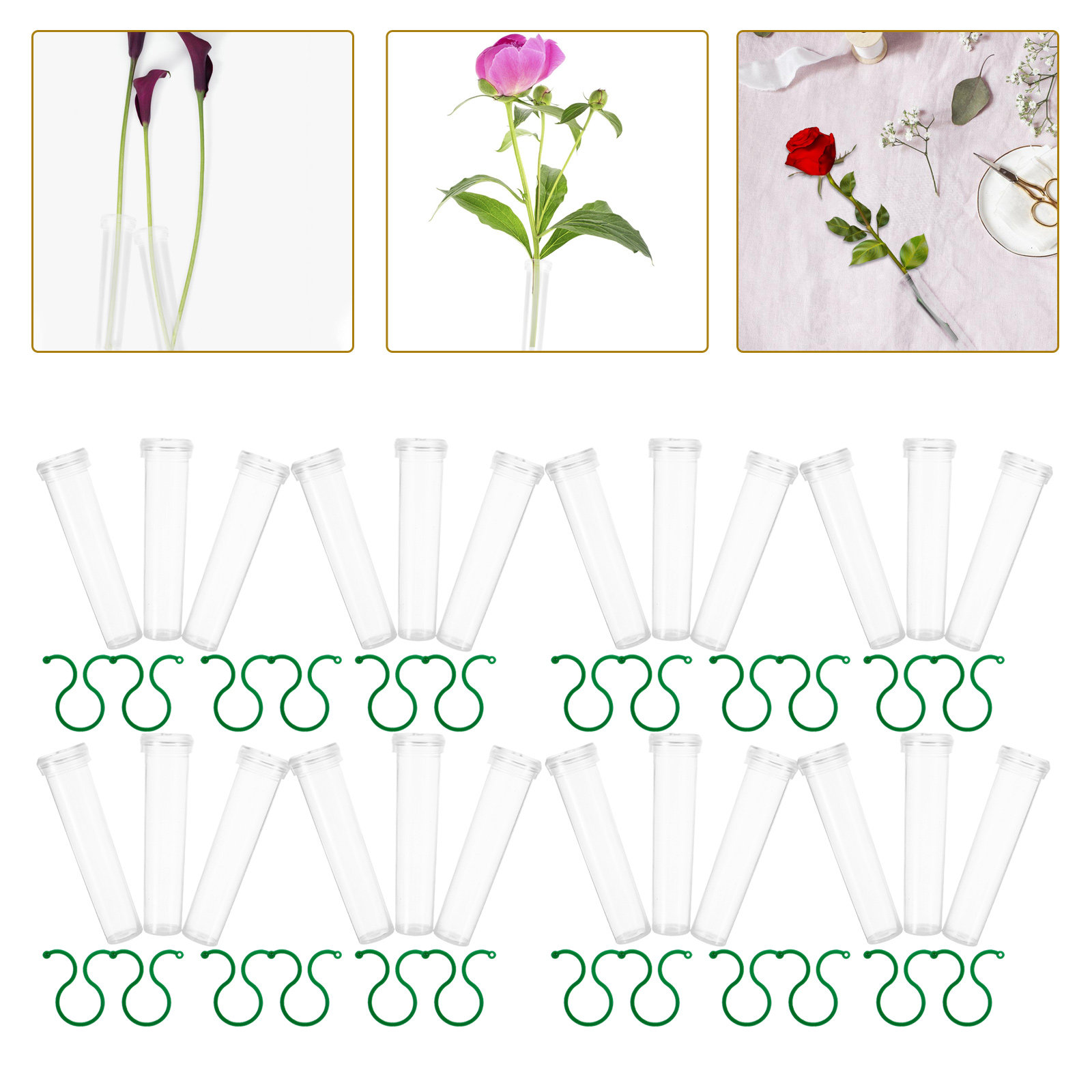 Nutrition & Fitness Hub Photos - 1 Set Blumen-Wasserröhrchen Frischblumen-Nährstoffröhrchen Unverzichtbar für