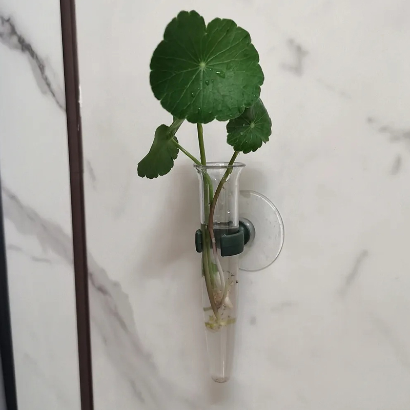 11cm Blumen-Wasserröhrchen Kun – Nutrition & Fitness Hub Photos Bewertung und Preis