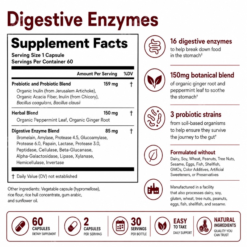 Verdauungsenzyme mit Präbiotik – Digestive Enzyme Blend Bewertung und Preis
