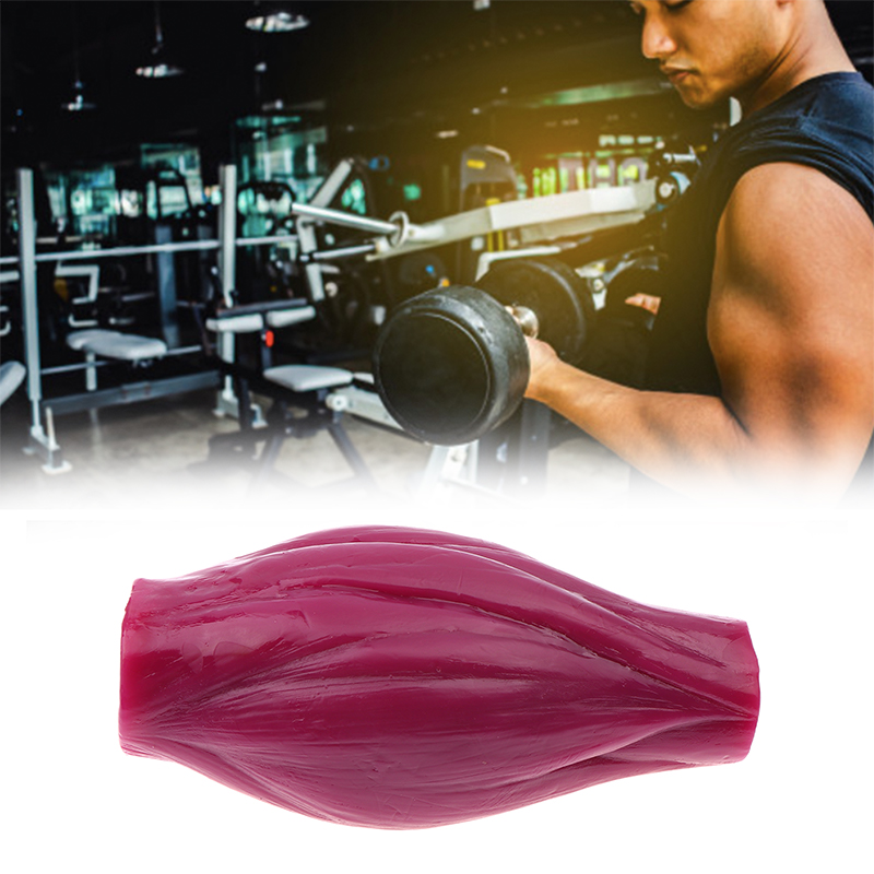 1lb Muskelaufbau zur Fitness & – Nutrition Fitness Course Bewertung und Preis