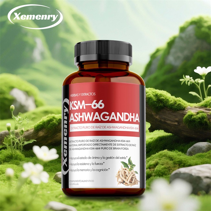 KSM 66 Ashwagandha-Wurzelextra – Ashwagandha Extract Root Bewertung und Preis