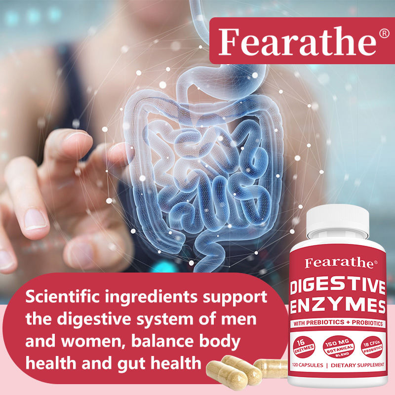Verdauungsenzyme + Präbiotika  – Digestive Enzyme Blend Bewertung und Preis