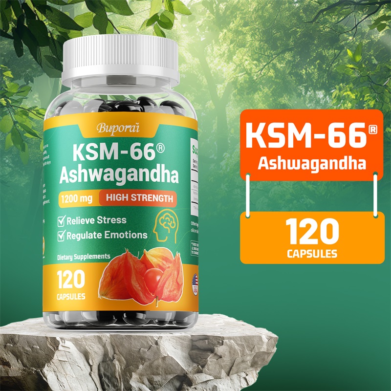 KSM-66 Ashwagandha 1200 mg veg – Ashwagandha Extract Root Bewertung und Preis