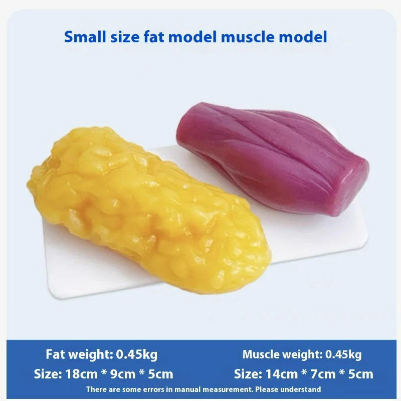 Menschliche Muskel- und Fettre – The Nutrition Fitness Bewertung und Preis